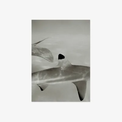 Westwing Poster Abyssal