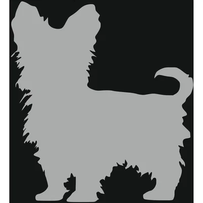 The Range Yorkshire Terrier Style 4 Silver Acrylic Mirror - Silver