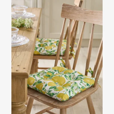 Dibor Set Of 2 Lemon Patterned Indoor Seat Pads
