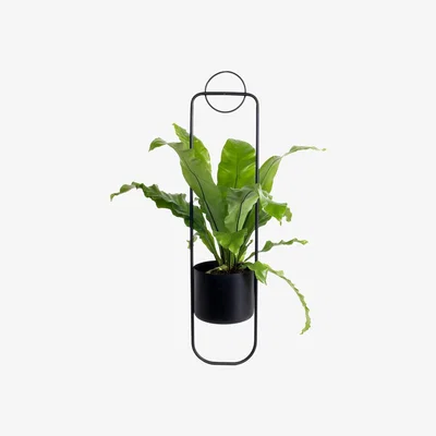 Amara XLBoom - Sonar Planter - Black