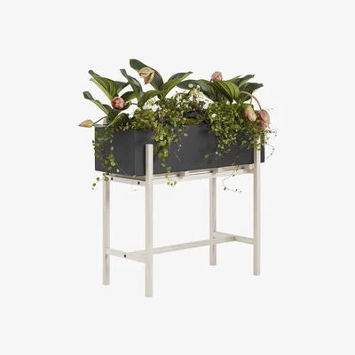 Amara Design House Stockholm - Botanic Flower Stand - Black/Ash