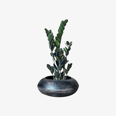 Amara Nkuku - Endo Reclaimed Iron Planter