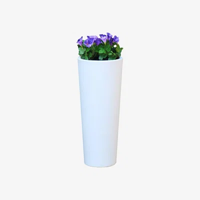 Amara Newgarden - Ficus Solar Smarttech Plant Pot - Small 60