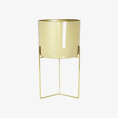 Amara Luxe - Raised Gold Planter - Short