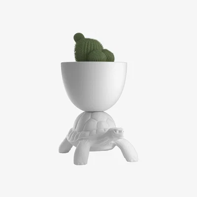 Amara Qeeboo - Turtle Planter And Champagne Cooler - White