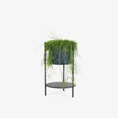 Amara XLBoom - Ent Planter - Black - Small