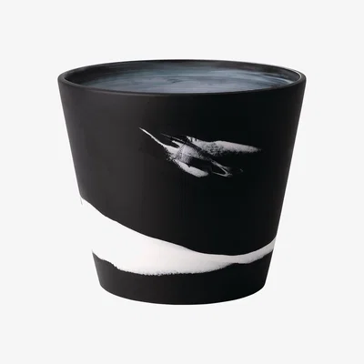 Amara Wedgwood - Burlington Pot - White on Black - 17.5cm