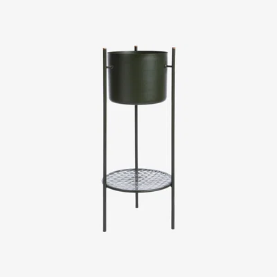 Amara XLBoom - Ent Tall Planter - Medium - Green