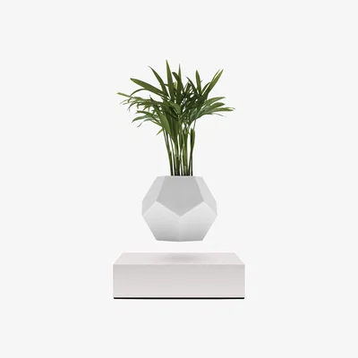 Amara FLYTE - Lyfe Planter - White