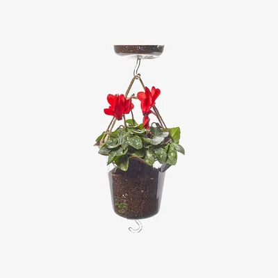 Amara Serax - Hanging Bucket Vase