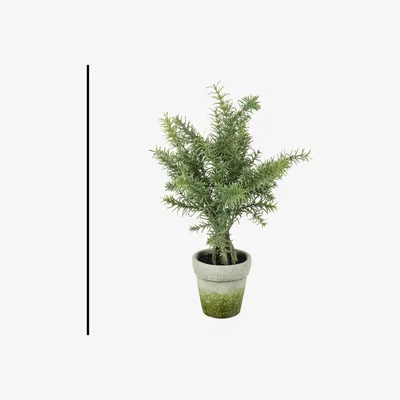 Amara Parlane - Faux Potted Rosemary Plant - Green