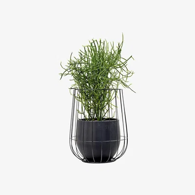 Amara Serax - Pot In A Cage - Black