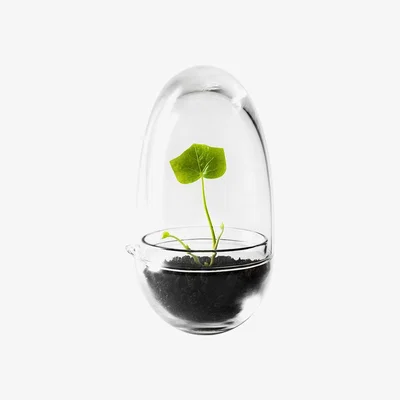 Amara Design House Stockholm - Grow Greenhouse - Clear - Small
