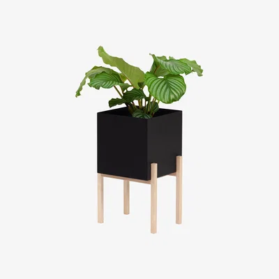 Amara Design House Stockholm - Botanic Pedestal - Black/Ash