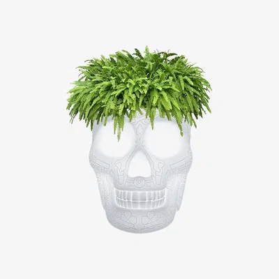 Amara Qeeboo - Mexico Skull LED Outdoor Planter