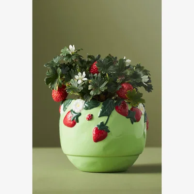 Anthropologie Foster Stoneware Flower Pot