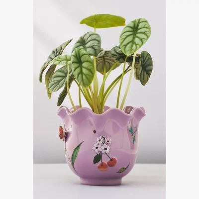 Anthropologie Faye Glazed Stoneware Plant Pot