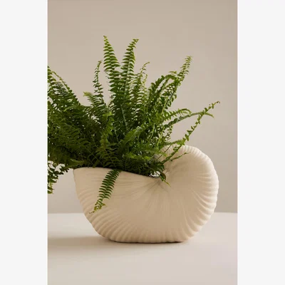 Anthropologie Ferm Living Shell Pot