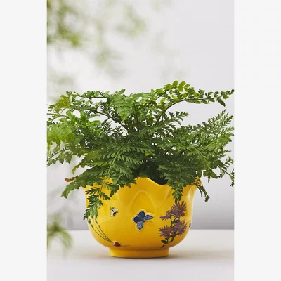 Anthropologie Faye Glazed Stoneware Plant Pot