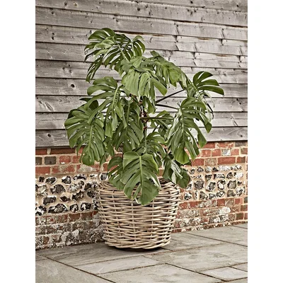 Cox and Cox Chunky Rattan Planter