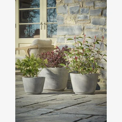 Cox and Cox Three Traditional Concrete Planters