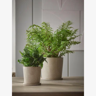 Cox and Cox Speckled Glazed Planter & Saucer - Small