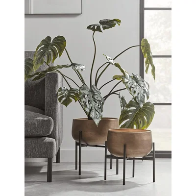 Cox and Cox Two Soft Gold Standing Planters