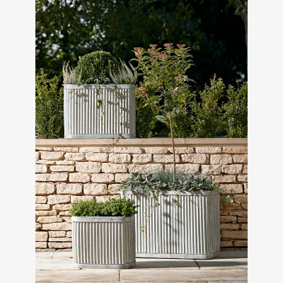Cox and Cox Three Fluted Zinc Planters