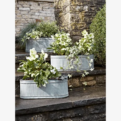 Cox and Cox Three Oval Trough Planters