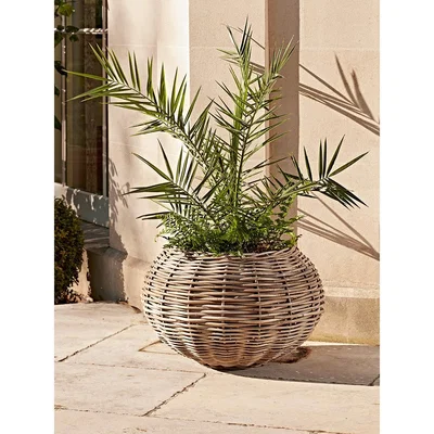Cox and Cox Round Rattan Ball Planter