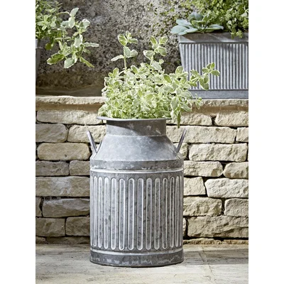 Cox and Cox Galvanised Milk Churn
