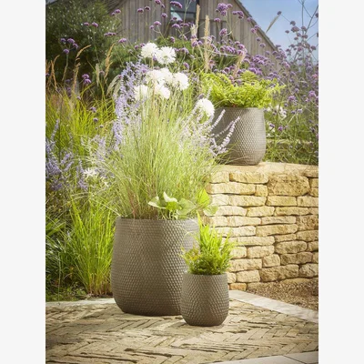 Cox and Cox Three Honeycomb Planters - Hazel