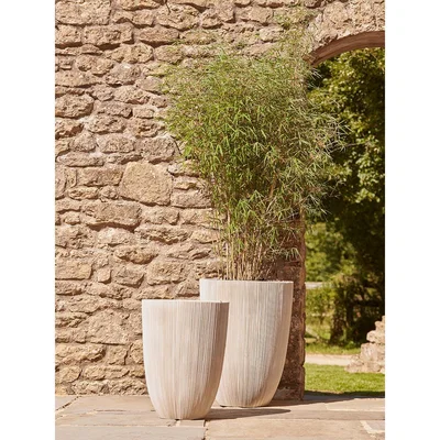 Cox and Cox NEW Two Fluted Plastic Tall Planters - Antique White