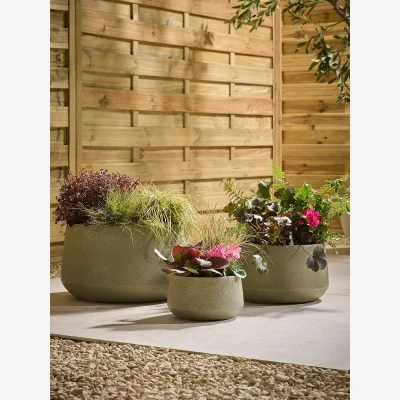 Cox and Cox Three Weathered Bowl Planters - Moss Green