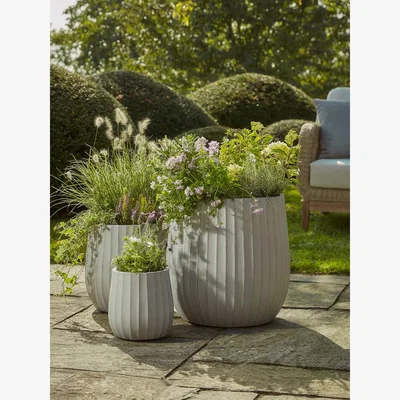 Cox and Cox Three Dove Grey Fluted Planters - Large
