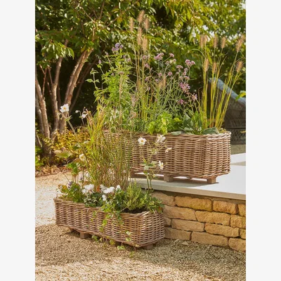 Cox and Cox Two Indoor Outdoor Rattan Trough Planters