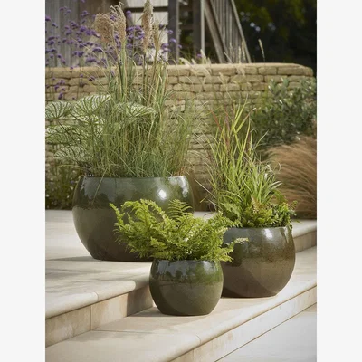 Cox and Cox Three Glazed Olive Bowl Planters
