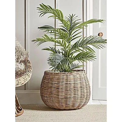 Cox and Cox Round Rattan Indoor Planter