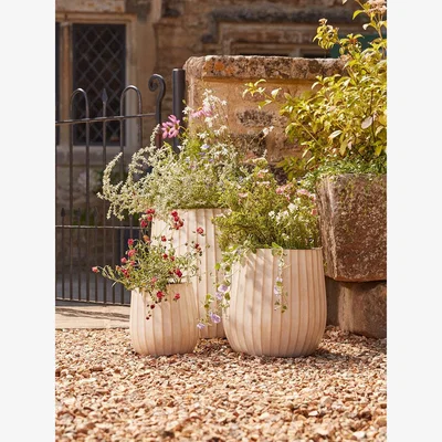 Cox and Cox Three Sand Fluted Planters - Large