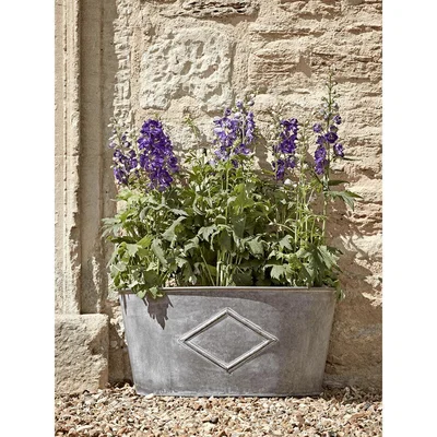 Cox and Cox Galvanised Demi Trough