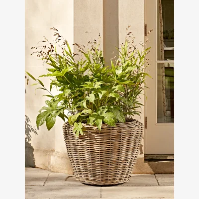 Cox and Cox Oversized Rattan Planter