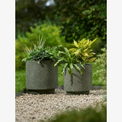Cox and Cox Two Leopard Planters - Dark Moss