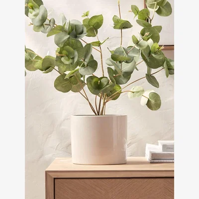 Cox and Cox Eliza Planter