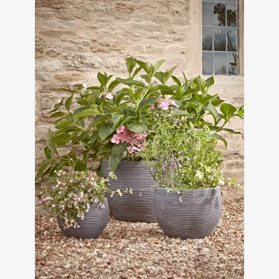 Cox and Cox Three Grey Ribbed Curved Planters