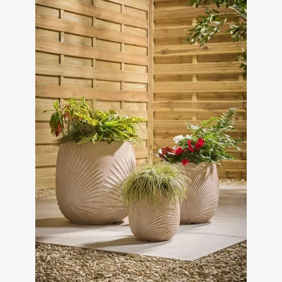 Cox and Cox Three Sand Palm Planters