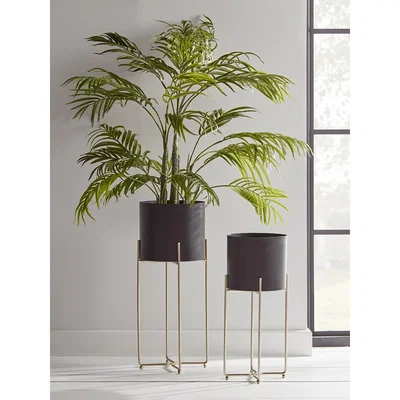 Cox and Cox Two Black & Brass Standing Planters