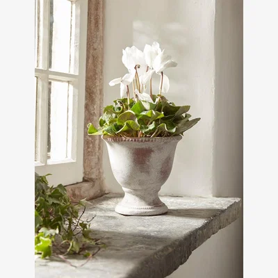 Cox and Cox Aged Effect Ceramic Planter