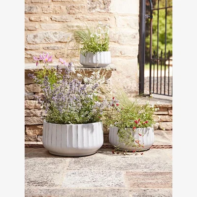 Cox and Cox Three Dove Grey Fluted Planters - Small