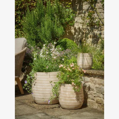 Cox and Cox Three Chevron Planters