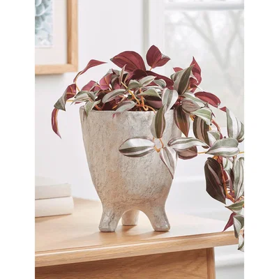 Cox and Cox NEW Standing Cement Planter